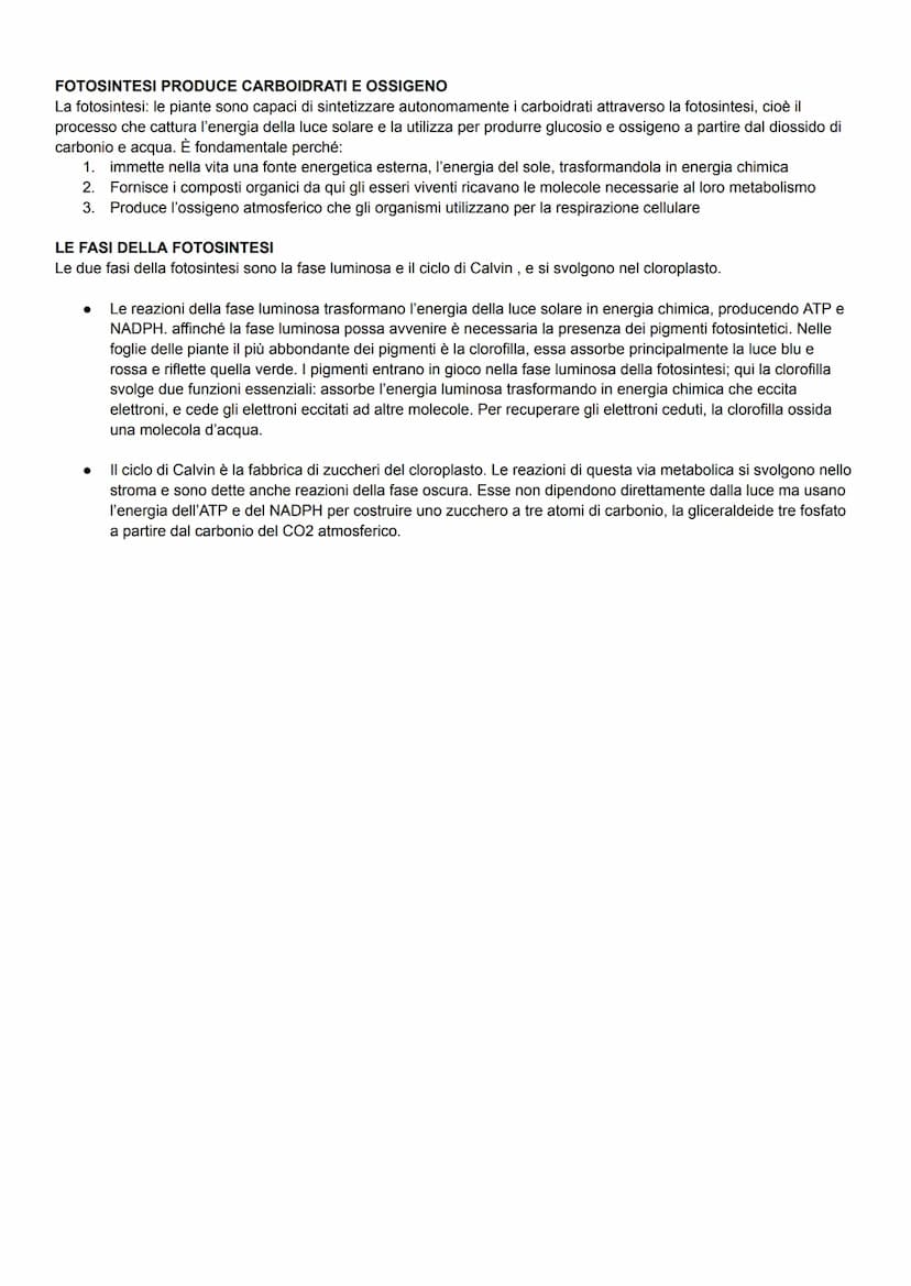 GLI ORGANISMI E L'ENERGIA
Tutti gli organismi viventi scambiano continuamente energia con l'ambiente.
Esistono diverse forme di energia, ma 
