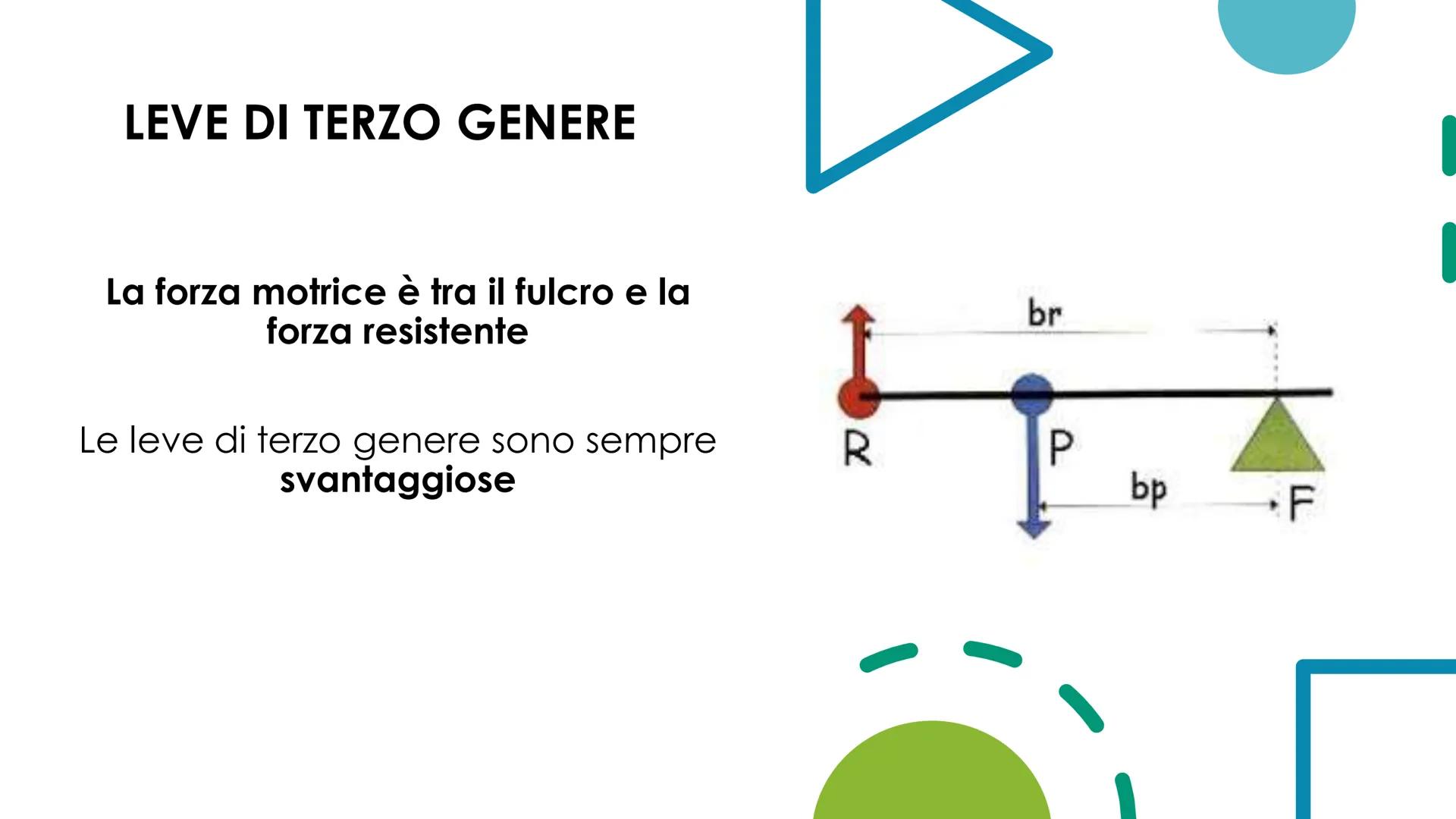 LE LEVE
Il peso dell'oggetto
da sollevare è
la forza resistente.
L'uomo esercita una forza
motrice si un'estremità
della leva.
Fulcro
bu
bM 