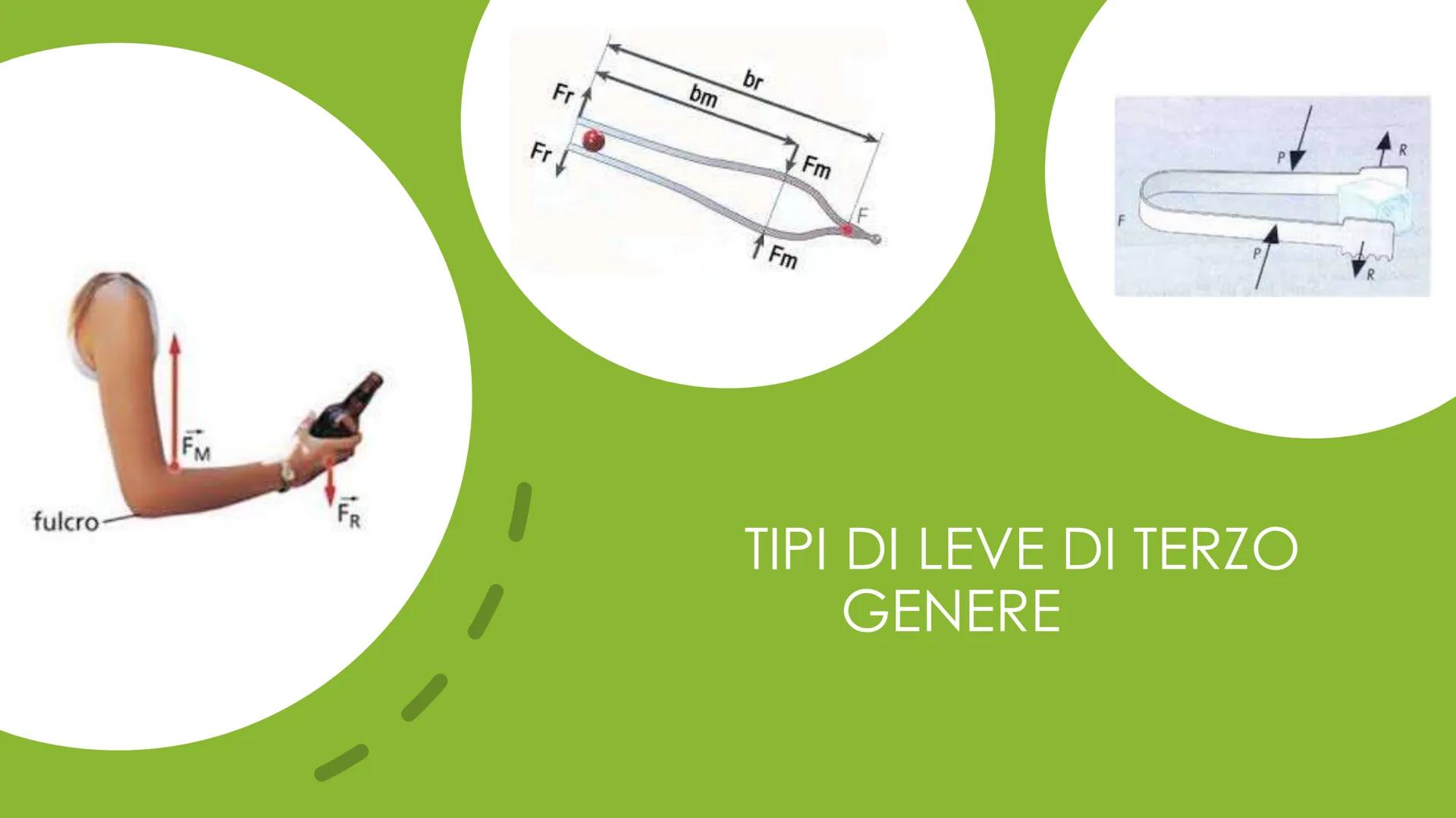 LE LEVE
Il peso dell'oggetto
da sollevare è
la forza resistente.
L'uomo esercita una forza
motrice si un'estremità
della leva.
Fulcro
bu
bM 