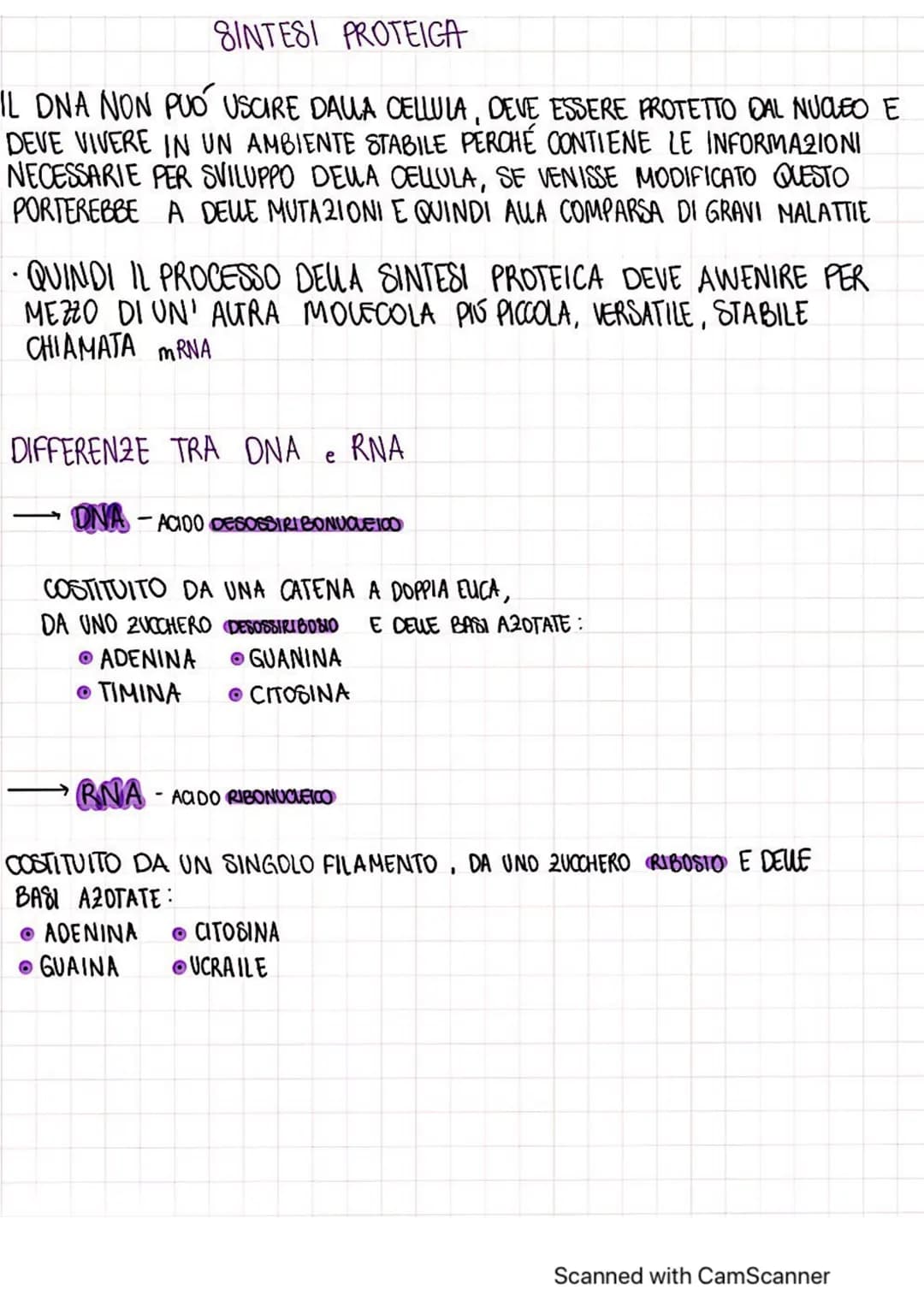 LA SINTESI DELLE PROTEINE
NUCLEO
ONA
TRASCRIZIONE
RNA
LE PROTEINE SONO IMPORTANTI PER LA NOSTRA SOPRAWIVENZA
HANNO MOLTEPLICI FUNZIONI:
FORM