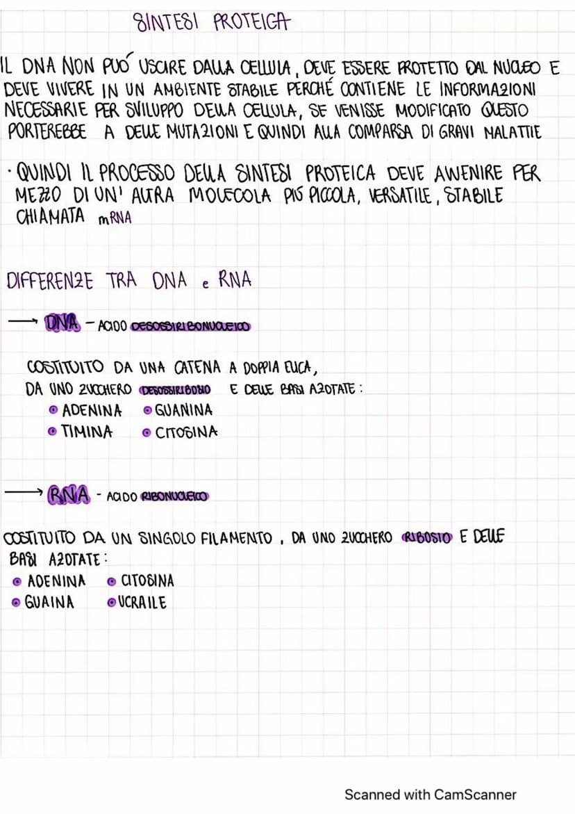 LA SINTESI DELLE PROTEINE
NUCLEO
ONA
TRASCRIZIONE
RNA
LE PROTEINE SONO IMPORTANTI PER LA NOSTRA SOPRAWIVENZA
HANNO MOLTEPLICI FUNZIONI:
FORM