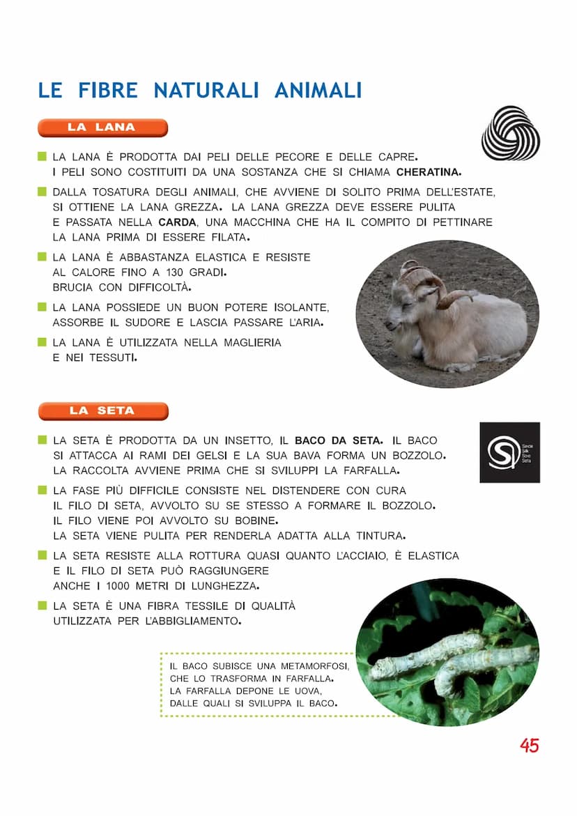 LE FIBRE TESSILI
LE FIBRE TESSILI SONO SOTTILI FILAMENTI DI ORIGINE VEGETALE, ANIMALE O
MINERALE. POSSONO ANCHE ESSERE PRODOTTE DALL'UOMO AT