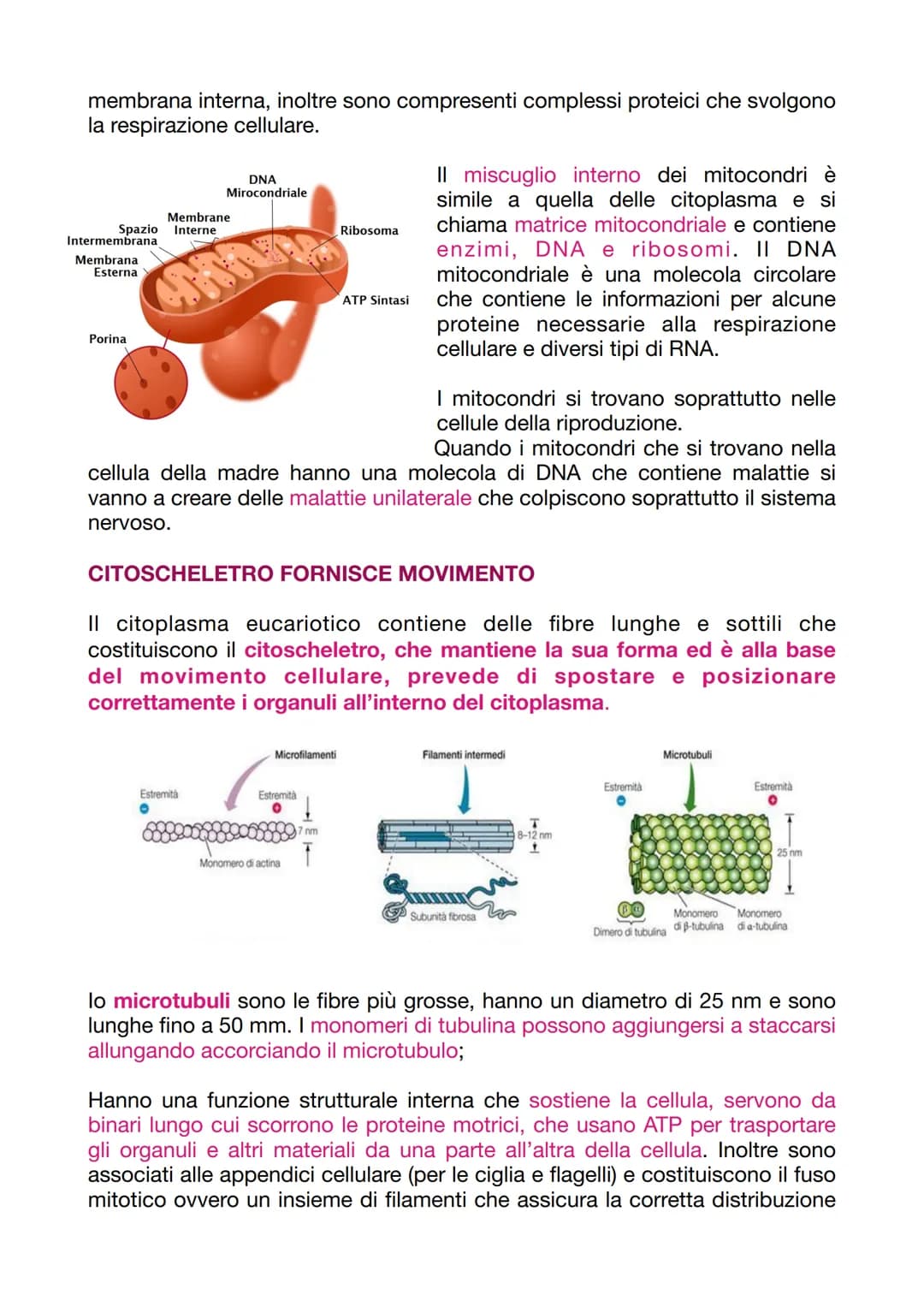 LA CELLULA EUCARIOTICA
LA STRUTTURA E LA FUNZIONE DELLA MEMBRANA PLASMATICA
Le cellule sono le unità basi degli organismi viventi. Ogni cell