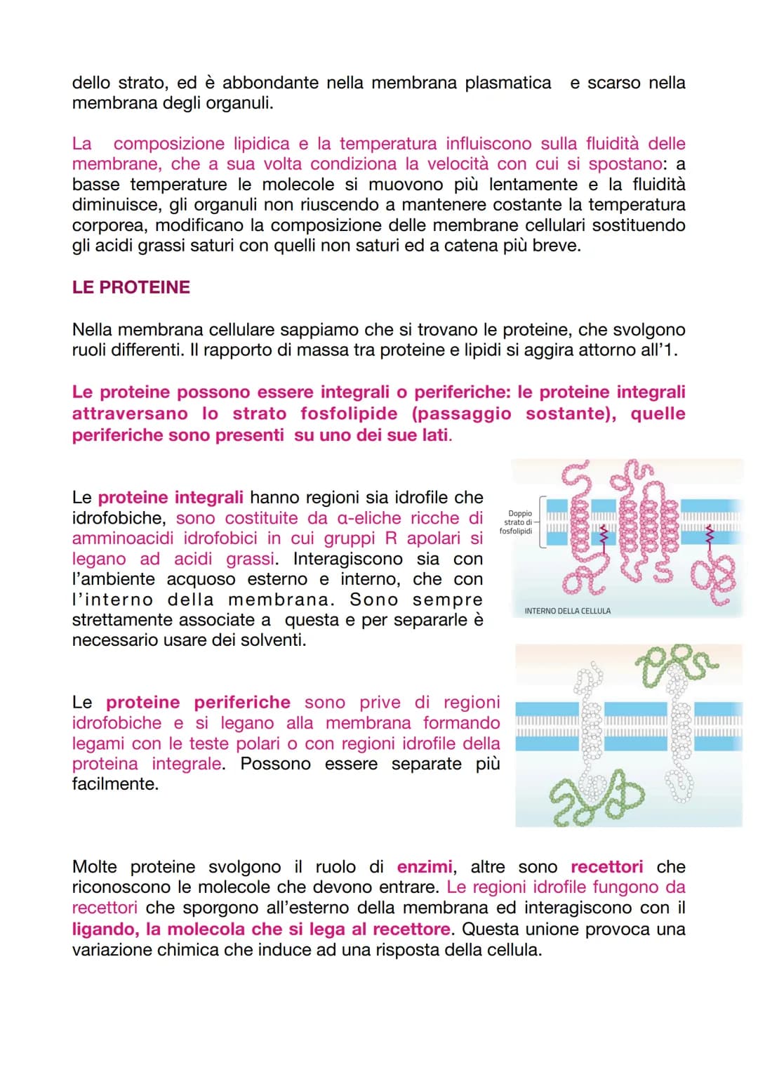 LA CELLULA EUCARIOTICA
LA STRUTTURA E LA FUNZIONE DELLA MEMBRANA PLASMATICA
Le cellule sono le unità basi degli organismi viventi. Ogni cell