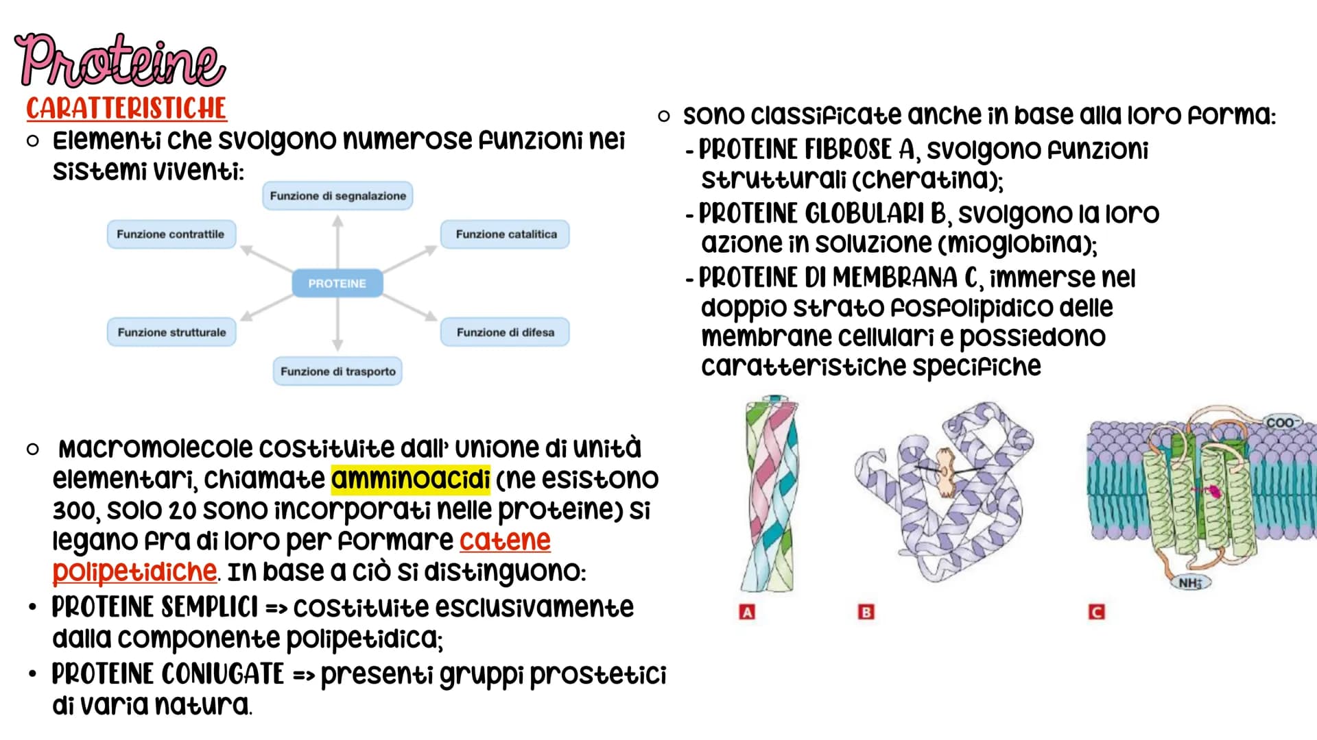 LE BIOMOLECOLE
Carboidrati, Proteine, Lipidi e acidi nucleici LE BIOMOLECOLE
sono molecole che svolgono un ruolo nei sistemi
biologici
CARAT