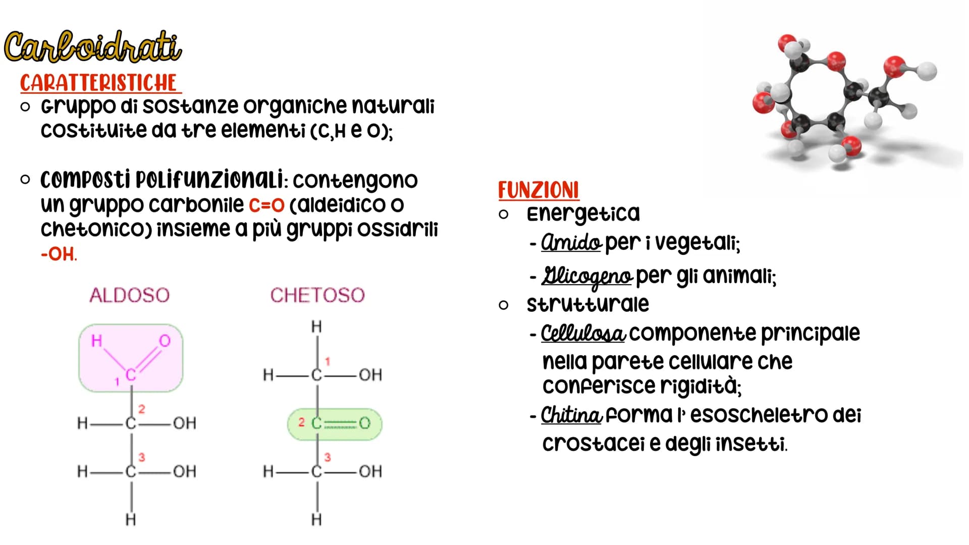 LE BIOMOLECOLE
Carboidrati, Proteine, Lipidi e acidi nucleici LE BIOMOLECOLE
sono molecole che svolgono un ruolo nei sistemi
biologici
CARAT