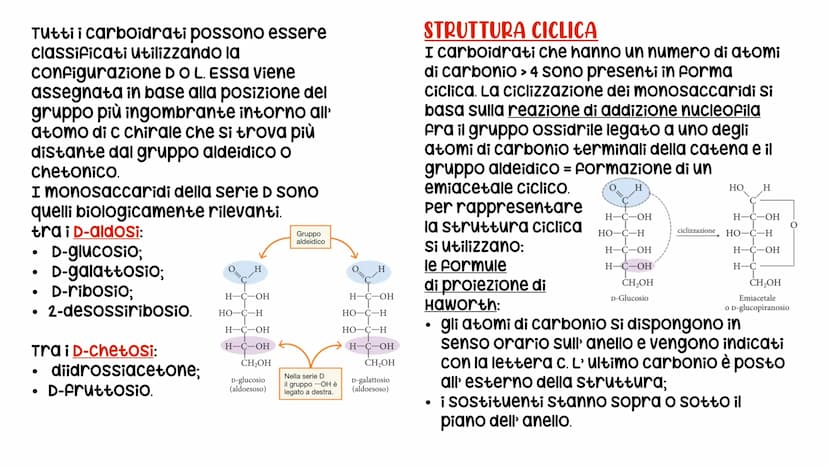 LE BIOMOLECOLE
Carboidrati, Proteine, Lipidi e acidi nucleici LE BIOMOLECOLE
sono molecole che svolgono un ruolo nei sistemi
biologici
CARAT