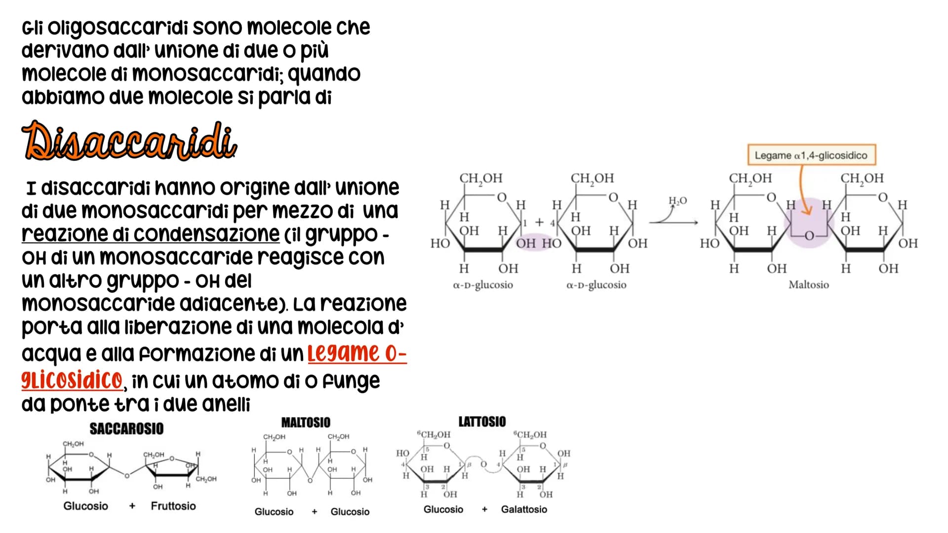 LE BIOMOLECOLE
Carboidrati, Proteine, Lipidi e acidi nucleici LE BIOMOLECOLE
sono molecole che svolgono un ruolo nei sistemi
biologici
CARAT