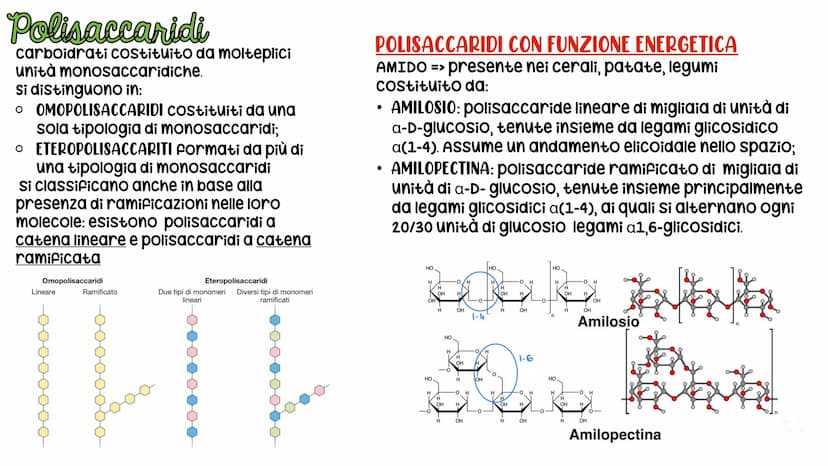 LE BIOMOLECOLE
Carboidrati, Proteine, Lipidi e acidi nucleici LE BIOMOLECOLE
sono molecole che svolgono un ruolo nei sistemi
biologici
CARAT