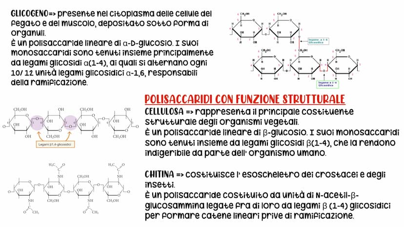 LE BIOMOLECOLE
Carboidrati, Proteine, Lipidi e acidi nucleici LE BIOMOLECOLE
sono molecole che svolgono un ruolo nei sistemi
biologici
CARAT