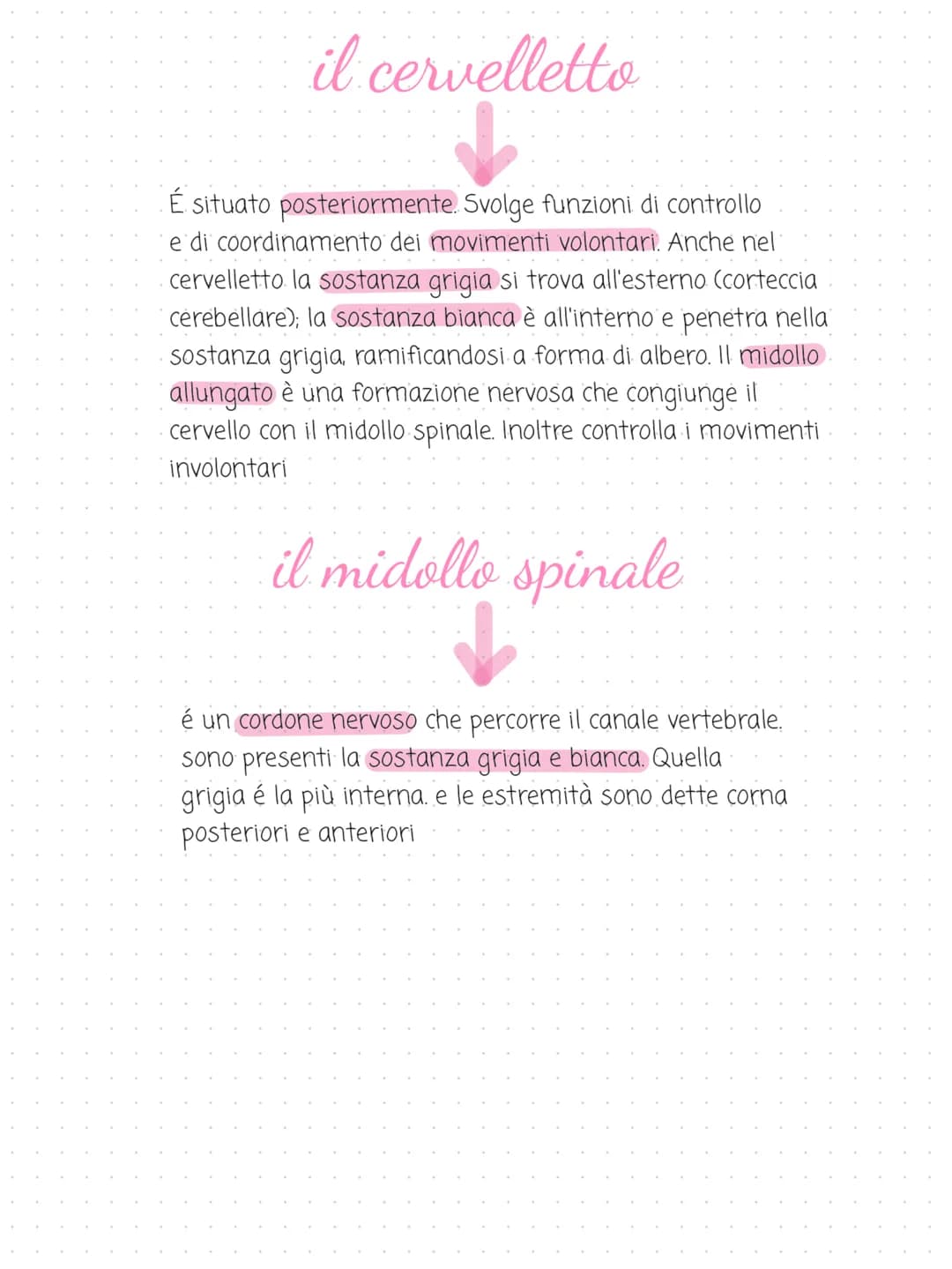 il sistema
→
nervoso
cervello
cervelletto
midollo spinale
nervi
é costituito dal tessuto nervoso. riceve gli
stimoli interni ed esterni per 