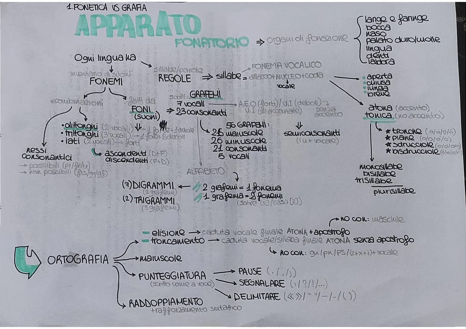 1.FONETICA US GRAFIA
APPARATO
Ogni lingua ka
inventano di suon
FONEMI
combinazioni
S
•dittonghi (2 vocal)
triltonghi (3 vocall)
•iati (Zuoca