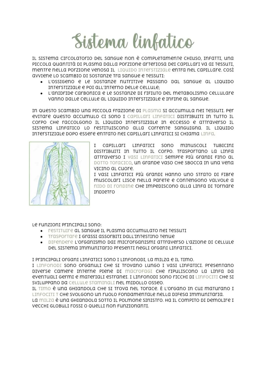 Sistema linfatico
IL SISTEMA CIRCOLATORIO DEL sangue non è completamente CHIUSO, INFATTI, una
PICCOLA QUANTITÀ DI PLASma DaLLa Porzione arte