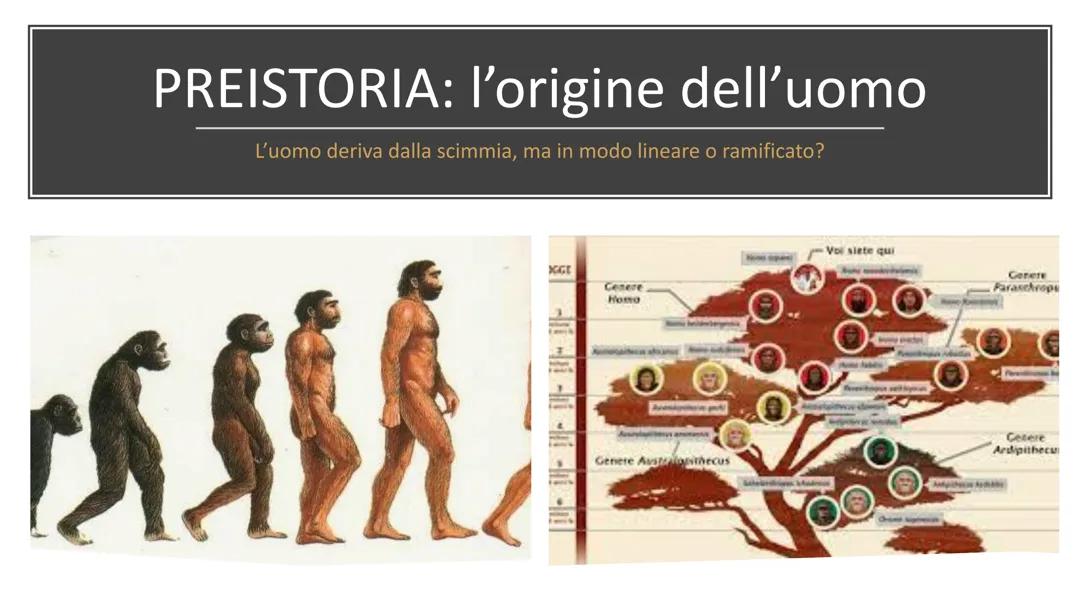 La Preistoria: Scopri l'Origine dell'Uomo e la Sua Evoluzione