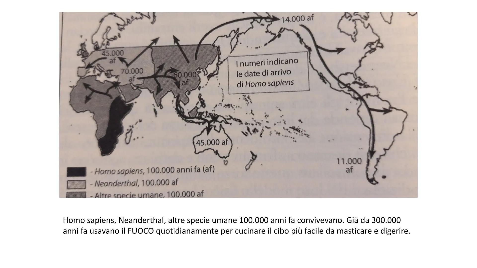 PREISTORIA: l'origine dell'uomo

L'uomo deriva dalla scimmia, ma in modo lineare o ramificato?

GGE

Genere
Home

Genere Australopithecus

V