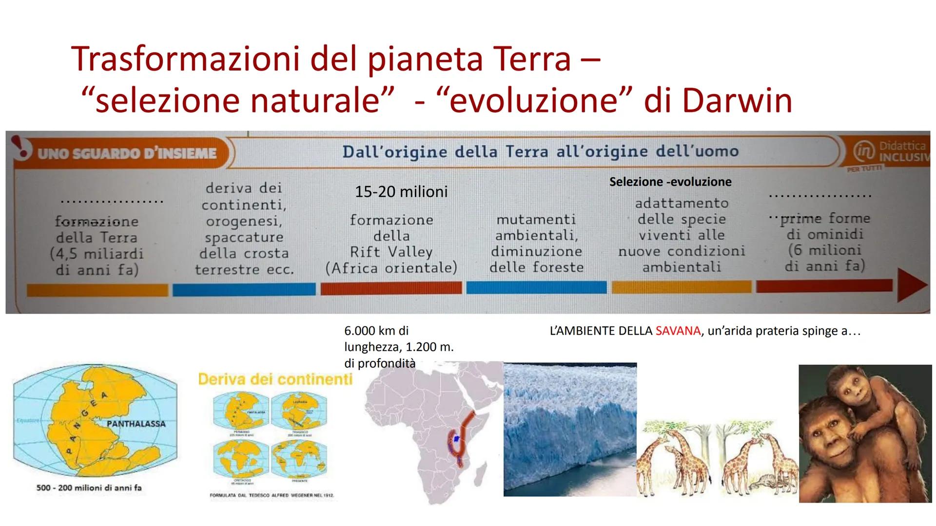 PREISTORIA: l'origine dell'uomo

L'uomo deriva dalla scimmia, ma in modo lineare o ramificato?

GGE

Genere
Home

Genere Australopithecus

V