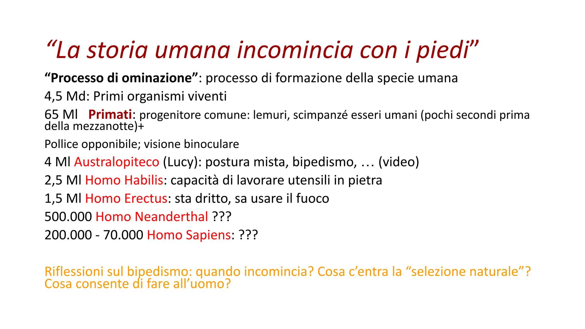 PREISTORIA: l'origine dell'uomo

L'uomo deriva dalla scimmia, ma in modo lineare o ramificato?

GGE

Genere
Home

Genere Australopithecus

V
