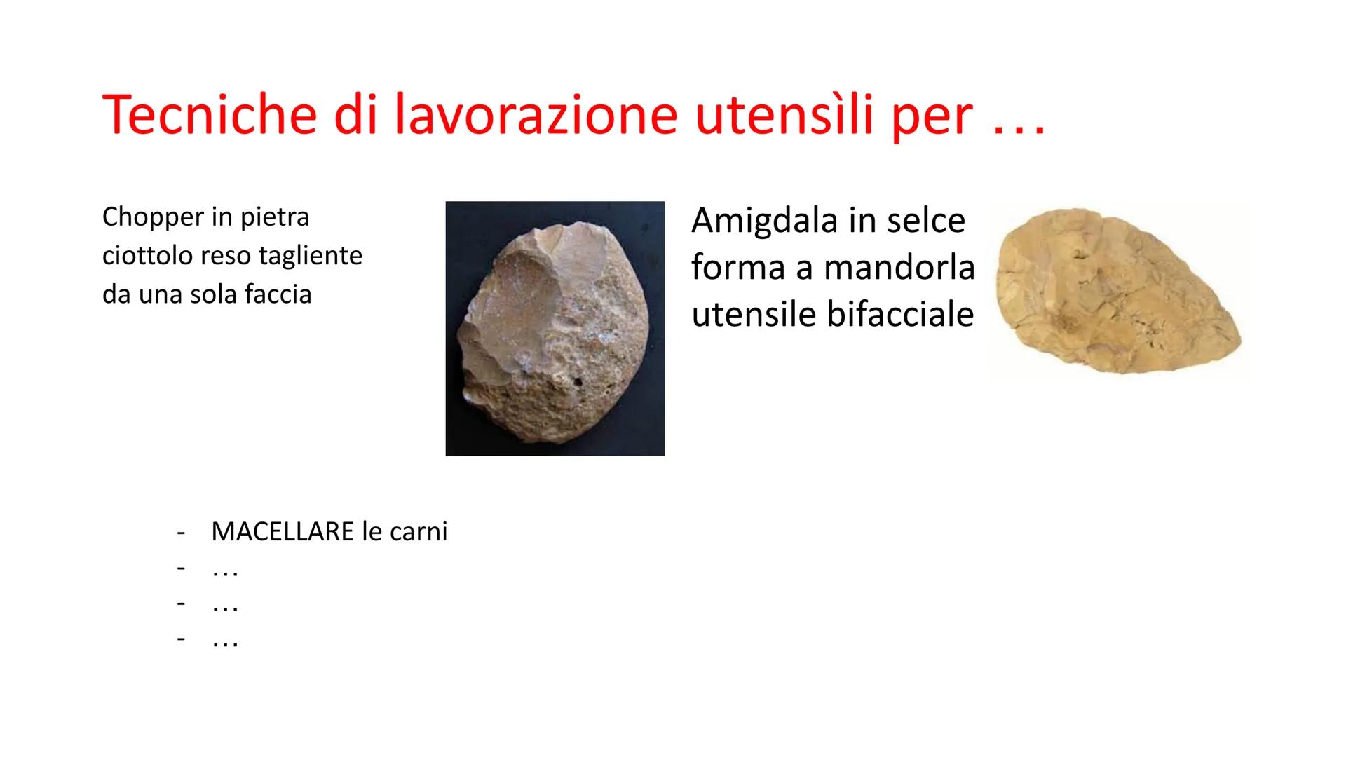 PREISTORIA: l'origine dell'uomo

L'uomo deriva dalla scimmia, ma in modo lineare o ramificato?

GGE

Genere
Home

Genere Australopithecus

V