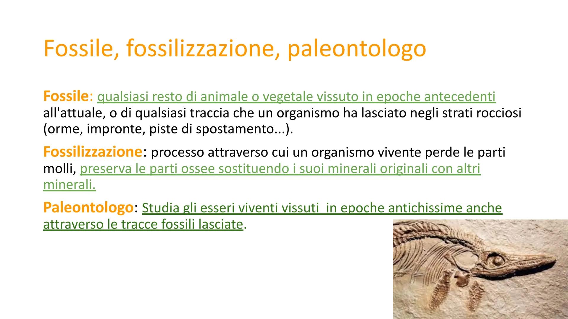 PREISTORIA: l'origine dell'uomo

L'uomo deriva dalla scimmia, ma in modo lineare o ramificato?

GGE

Genere
Home

Genere Australopithecus

V