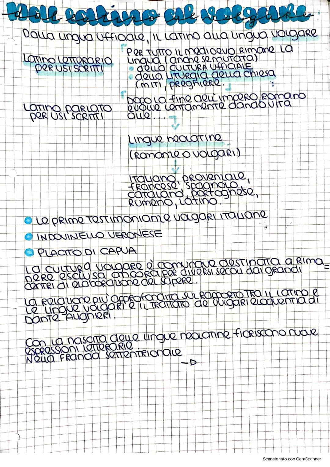 Dal Latino al Volgare: Un Viaggio nella Letteratura