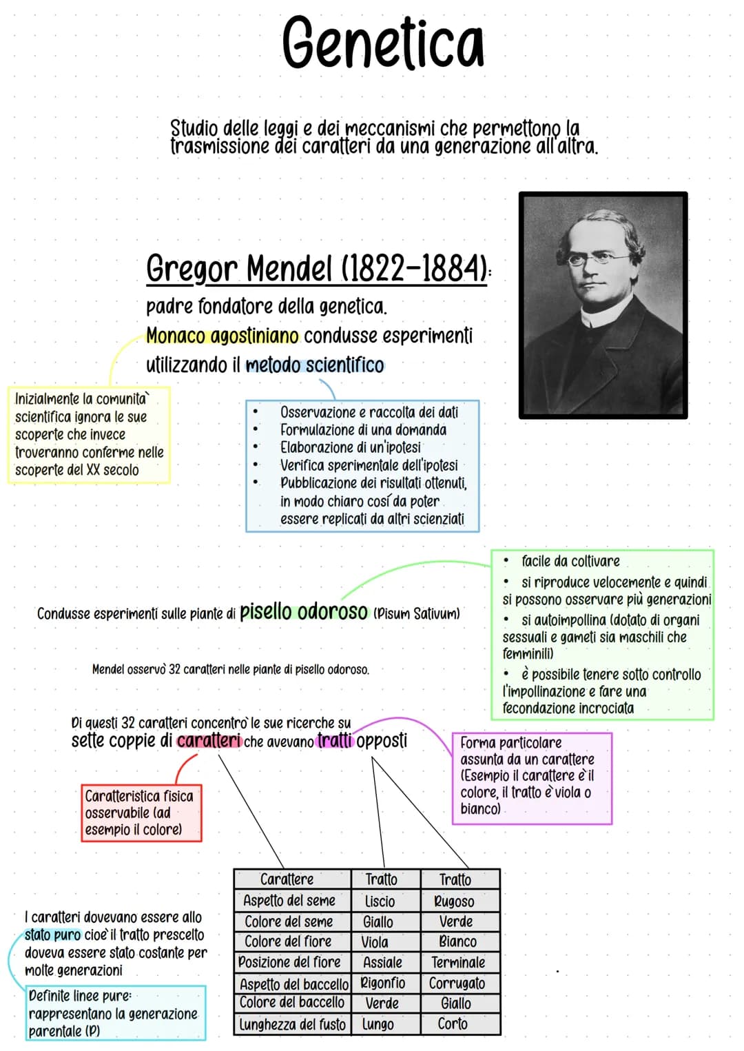 Genetica
Studio delle leggi e dei meccanismi che permettono la
trasmissione dei caratteri da una generazione all'altra.
Gregor Mendel (1822-