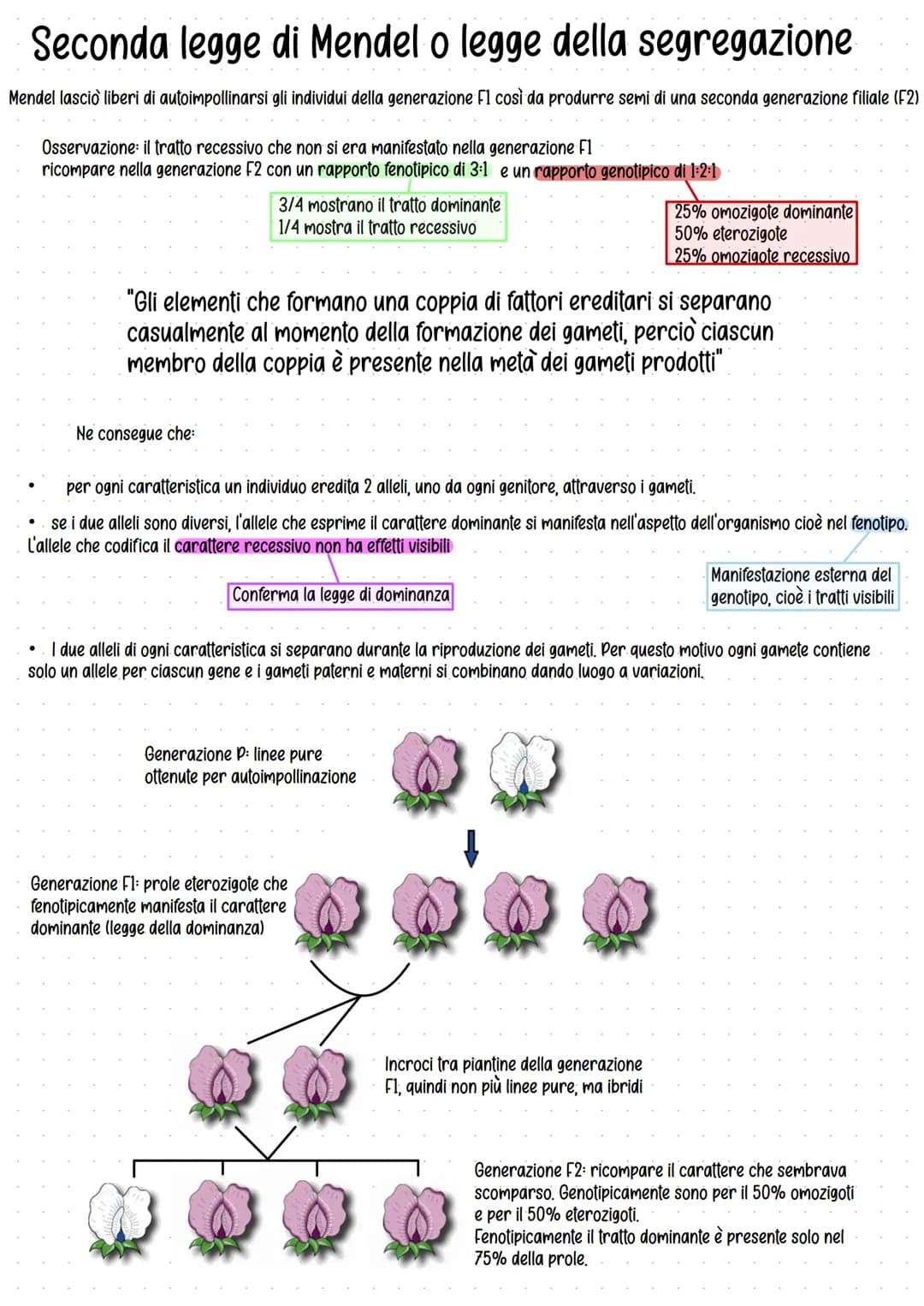 Genetica
Studio delle leggi e dei meccanismi che permettono la
trasmissione dei caratteri da una generazione all'altra.
Gregor Mendel (1822-