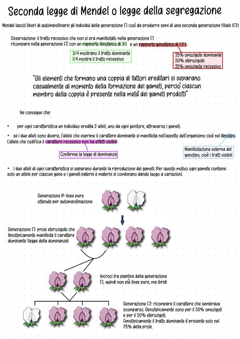 Genetica
Studio delle leggi e dei meccanismi che permettono la
trasmissione dei caratteri da una generazione all'altra.
Gregor Mendel (1822-