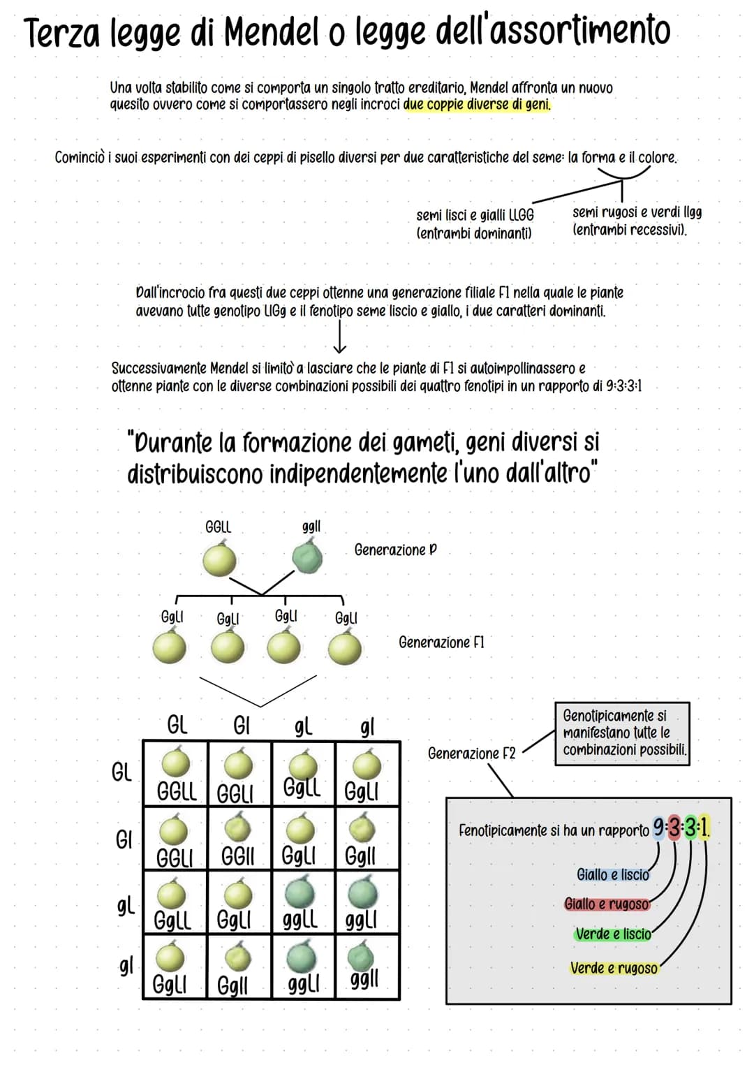 Genetica
Studio delle leggi e dei meccanismi che permettono la
trasmissione dei caratteri da una generazione all'altra.
Gregor Mendel (1822-