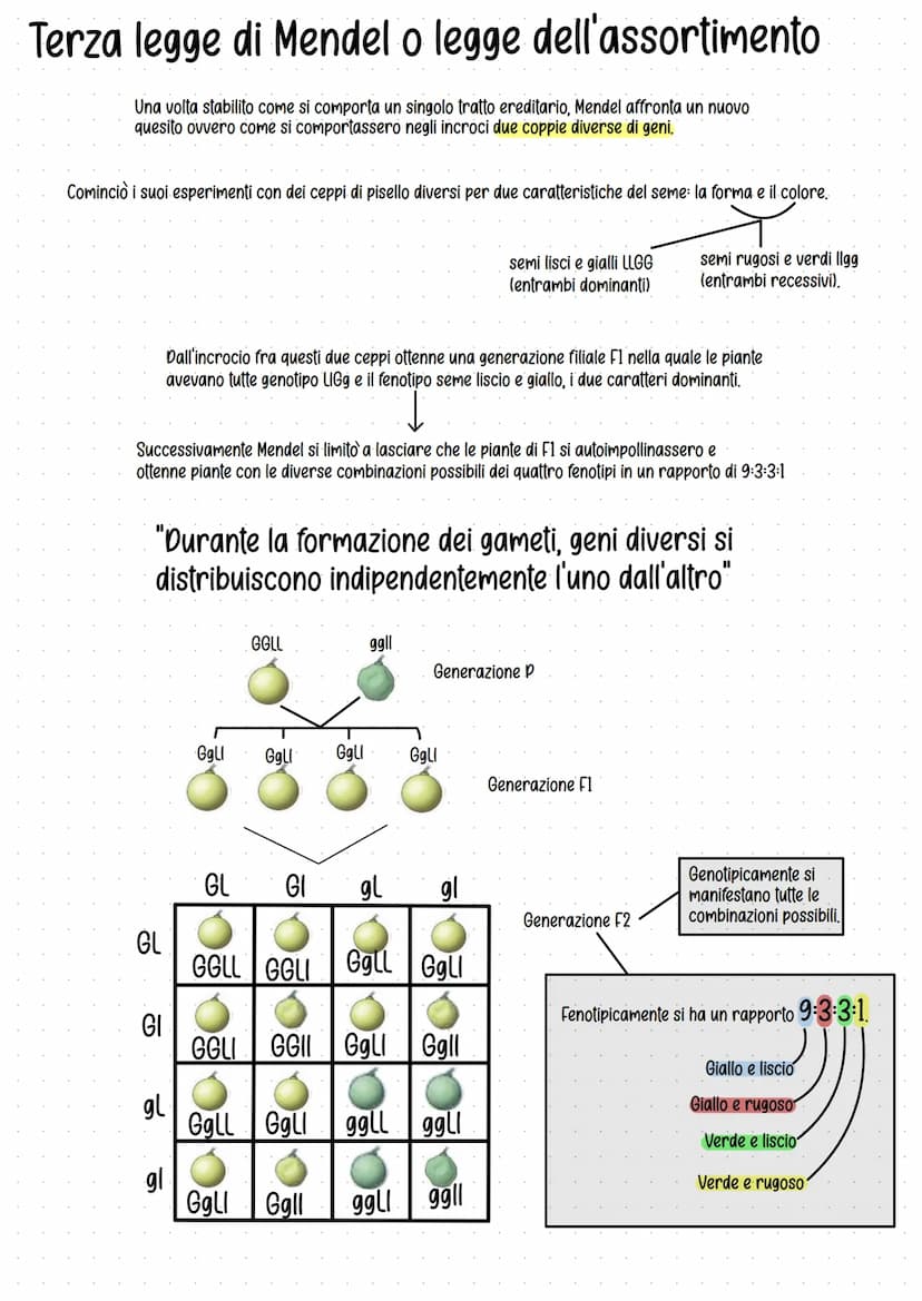 Genetica
Studio delle leggi e dei meccanismi che permettono la
trasmissione dei caratteri da una generazione all'altra.
Gregor Mendel (1822-