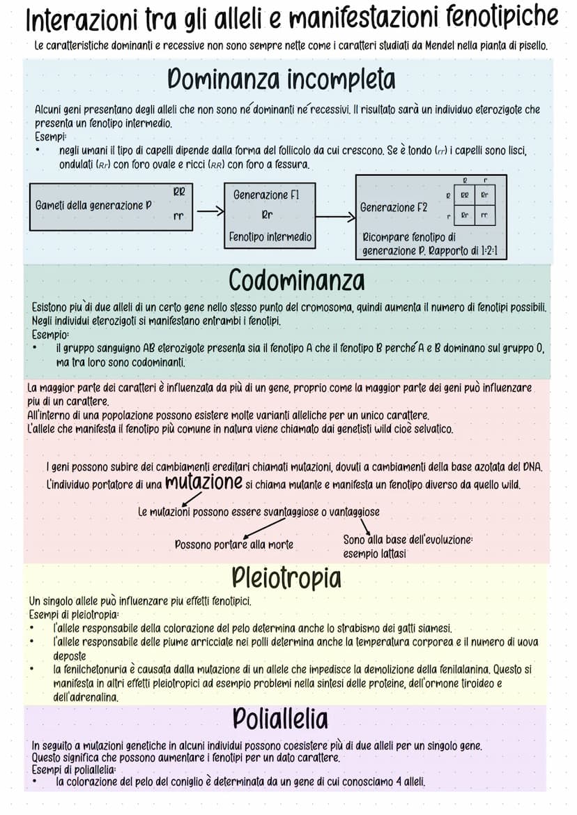 Genetica
Studio delle leggi e dei meccanismi che permettono la
trasmissione dei caratteri da una generazione all'altra.
Gregor Mendel (1822-