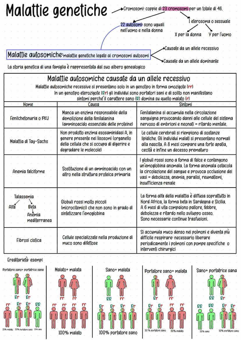 Genetica
Studio delle leggi e dei meccanismi che permettono la
trasmissione dei caratteri da una generazione all'altra.
Gregor Mendel (1822-