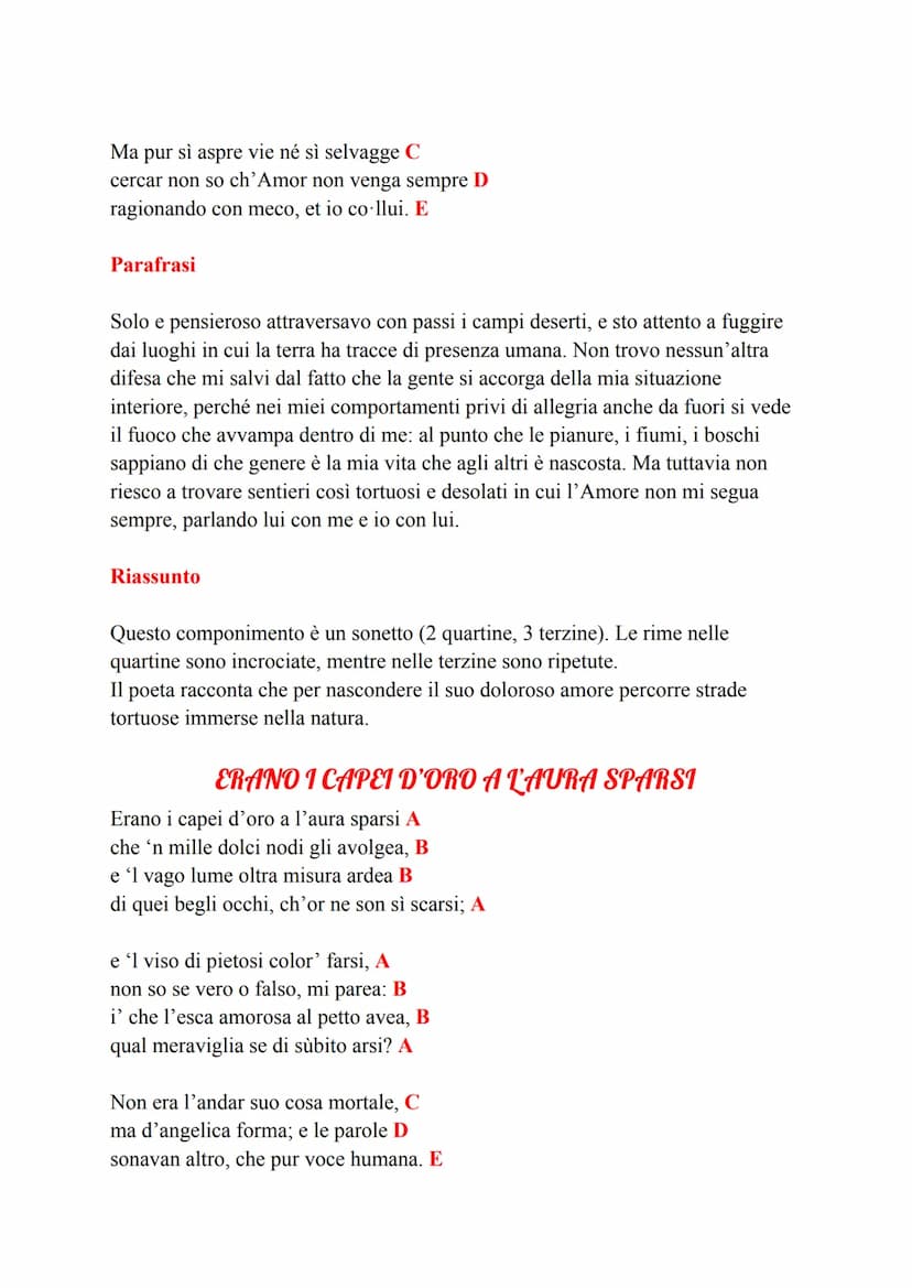 Nasce nel 1304
X Muore nel 1374
→ Arezzo
VITA:
PETRARCA
• Petrarca nasce da genitori fiorentini.
• Apparteneva alla fazione dei Guelfi Bianc