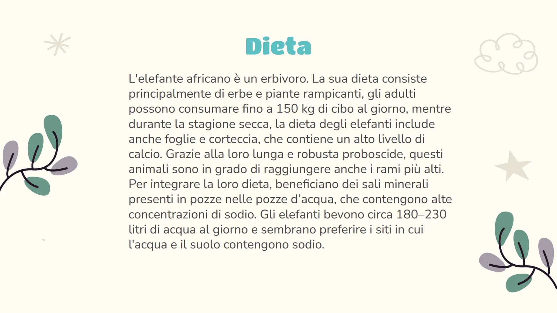 Scienze
L'elefante
Luce Joan Ruffato 2ªE Indice
01
Descrizione
Le nozioni essenziali
03
Comportamento
Il suo comportamento
sociale e animale