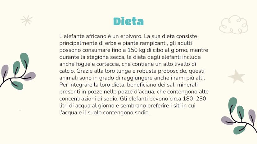 Scienze
L'elefante
Luce Joan Ruffato 2ªE Indice
01
Descrizione
Le nozioni essenziali
03
Comportamento
Il suo comportamento
sociale e animale