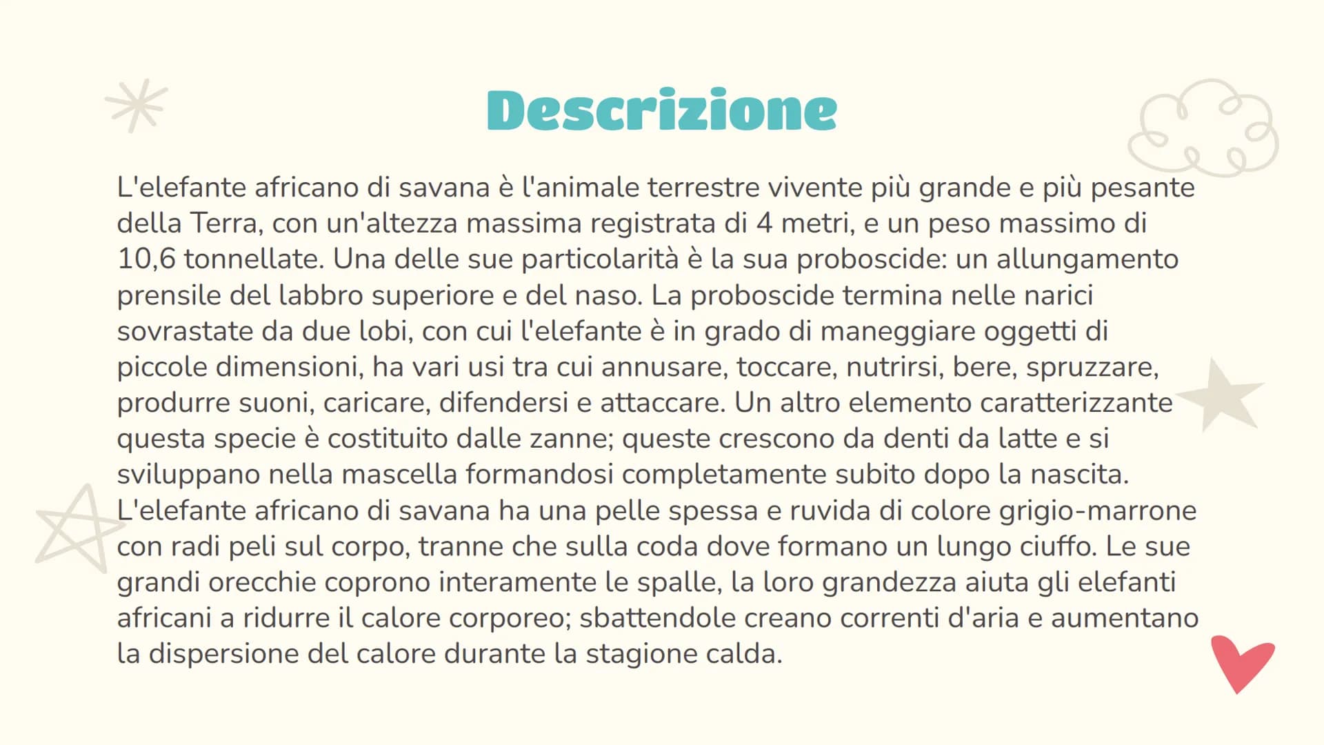 Scienze
L'elefante
Luce Joan Ruffato 2ªE Indice
01
Descrizione
Le nozioni essenziali
03
Comportamento
Il suo comportamento
sociale e animale
