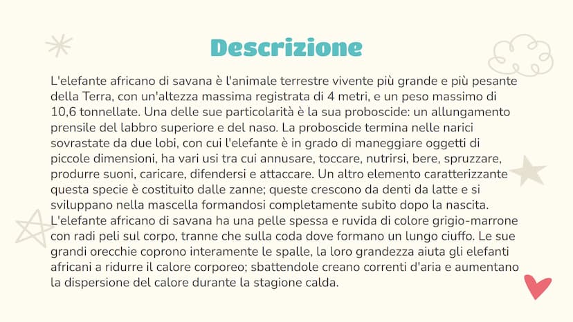 Scienze
L'elefante
Luce Joan Ruffato 2ªE Indice
01
Descrizione
Le nozioni essenziali
03
Comportamento
Il suo comportamento
sociale e animale