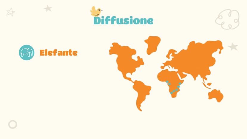 Scienze
L'elefante
Luce Joan Ruffato 2ªE Indice
01
Descrizione
Le nozioni essenziali
03
Comportamento
Il suo comportamento
sociale e animale