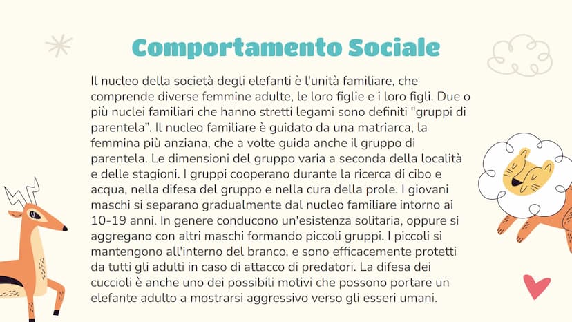 Scienze
L'elefante
Luce Joan Ruffato 2ªE Indice
01
Descrizione
Le nozioni essenziali
03
Comportamento
Il suo comportamento
sociale e animale