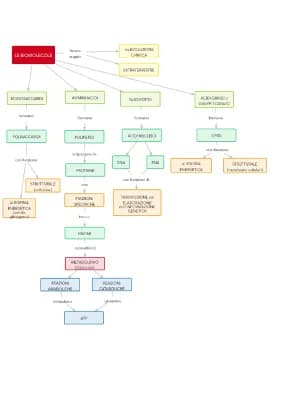 Know Le Biomolecole - Mappa thumbnail