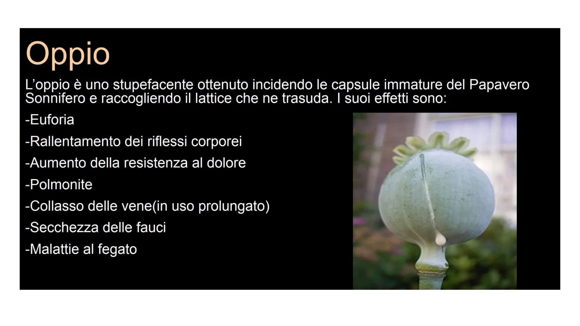 Le Droghe
andnudnulum
Di Morena,
Pierpaolo, Pietro, Gio
vanni, Omaima, con
la partecipazione di
PIERALFONSO
BRUNO Le Droghe
andnudnulum
Di M