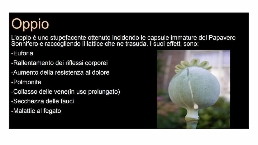 Le Droghe
andnudnulum
Di Morena,
Pierpaolo, Pietro, Gio
vanni, Omaima, con
la partecipazione di
PIERALFONSO
BRUNO Le Droghe
andnudnulum
Di M