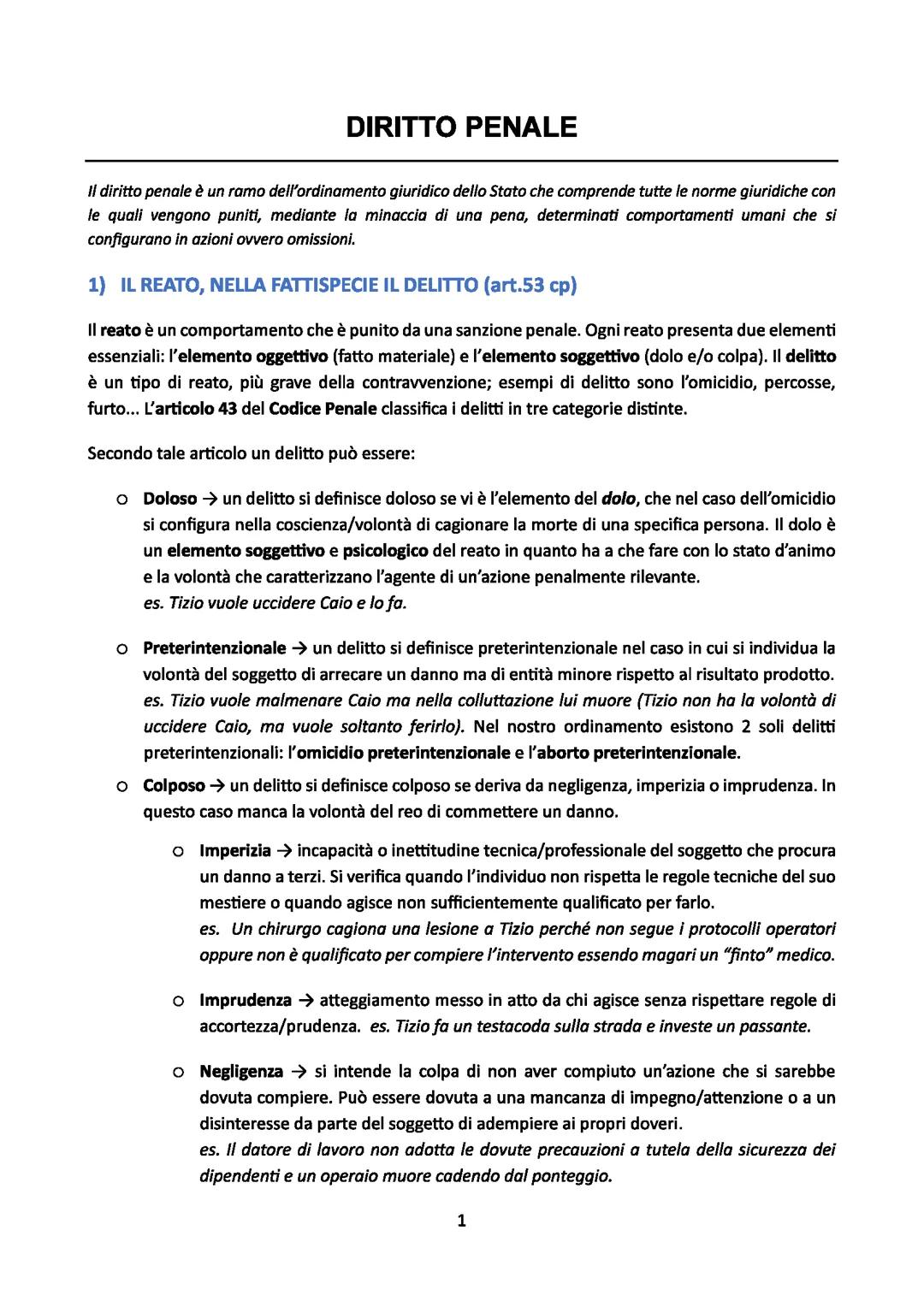 DIRITTO PENALE (RIASSUNTO)
