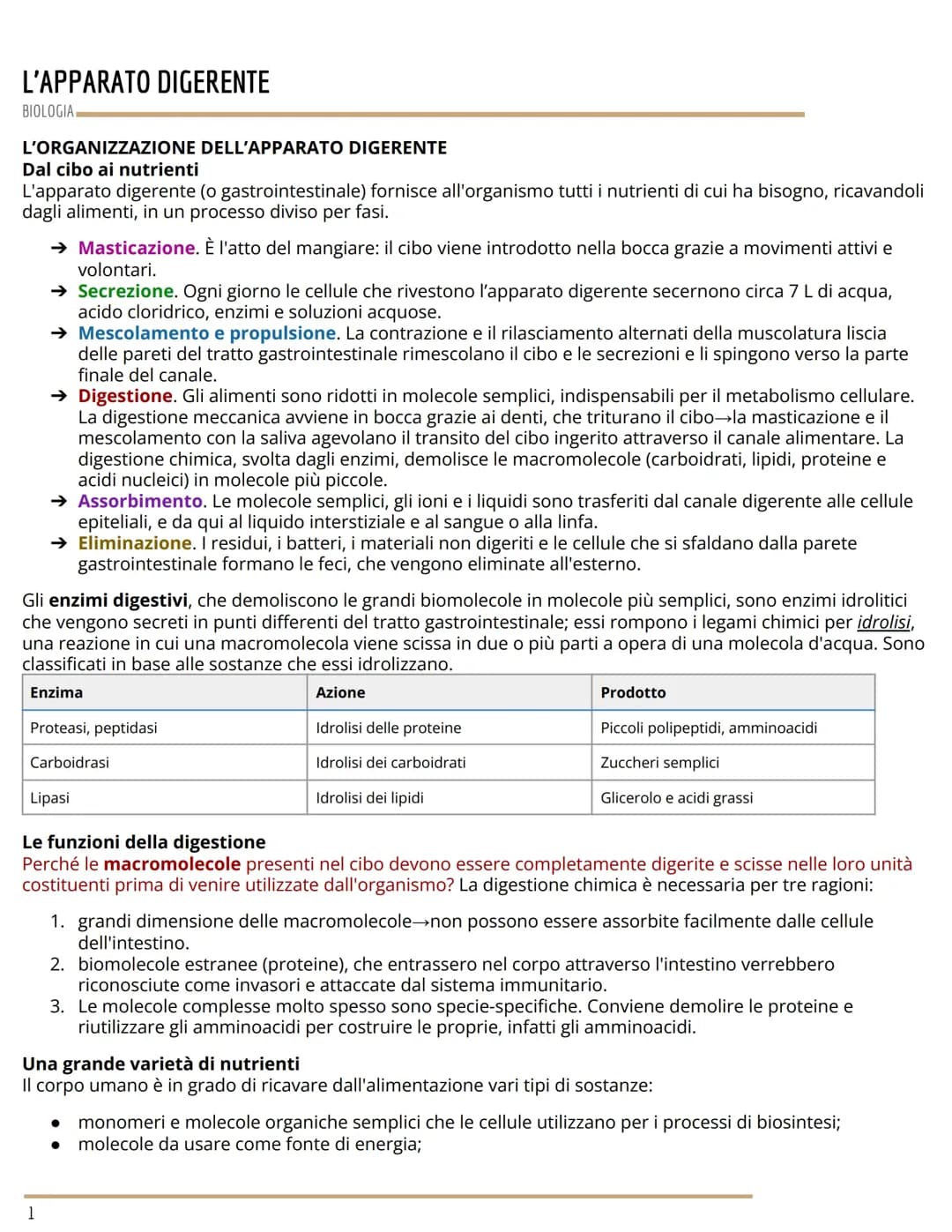 APPARATO DIGERENTE
