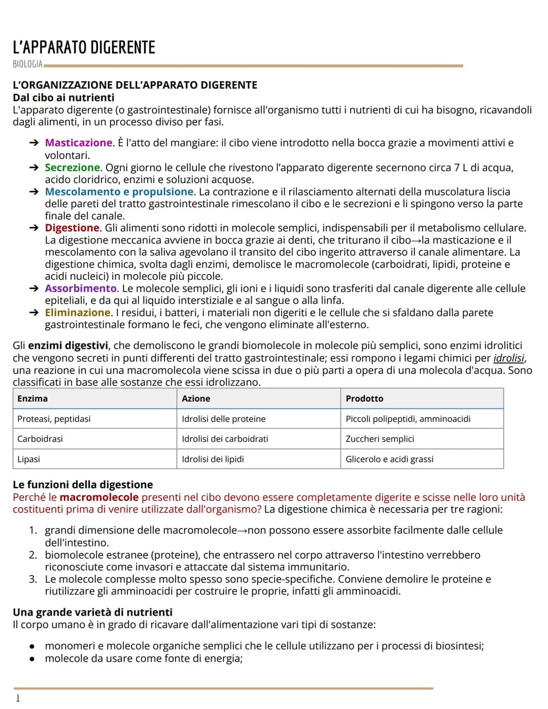L'APPARATO DIGERENTE
BIOLOGIA
L'ORGANIZZAZIONE DELL'APPARATO DIGERENTE
Dal cibo ai nutrienti
L'apparato digerente (o gastrointestinale) forn