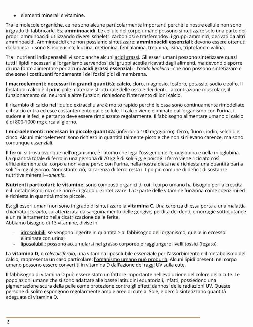 L'APPARATO DIGERENTE
BIOLOGIA
L'ORGANIZZAZIONE DELL'APPARATO DIGERENTE
Dal cibo ai nutrienti
L'apparato digerente (o gastrointestinale) forn