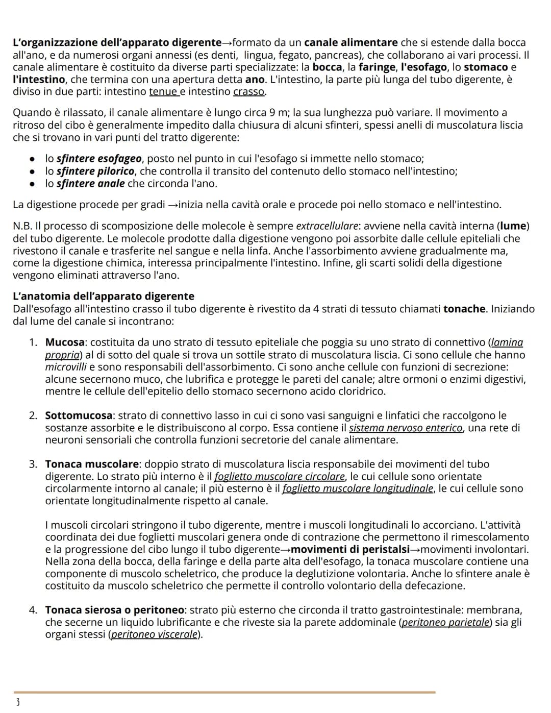 L'APPARATO DIGERENTE
BIOLOGIA
L'ORGANIZZAZIONE DELL'APPARATO DIGERENTE
Dal cibo ai nutrienti
L'apparato digerente (o gastrointestinale) forn
