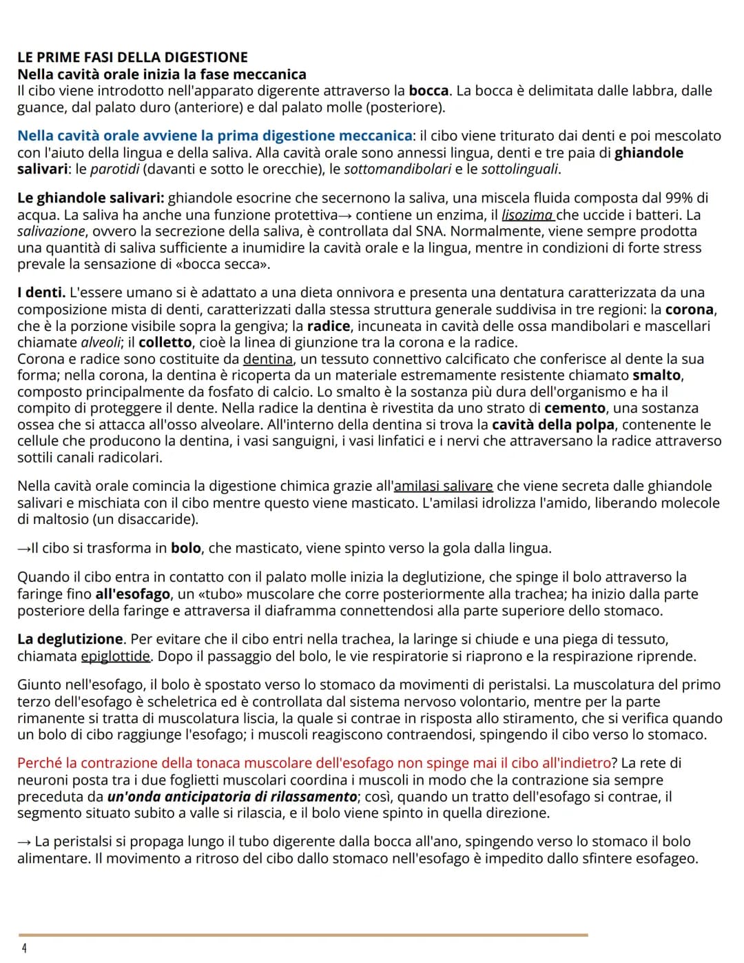 L'APPARATO DIGERENTE
BIOLOGIA
L'ORGANIZZAZIONE DELL'APPARATO DIGERENTE
Dal cibo ai nutrienti
L'apparato digerente (o gastrointestinale) forn