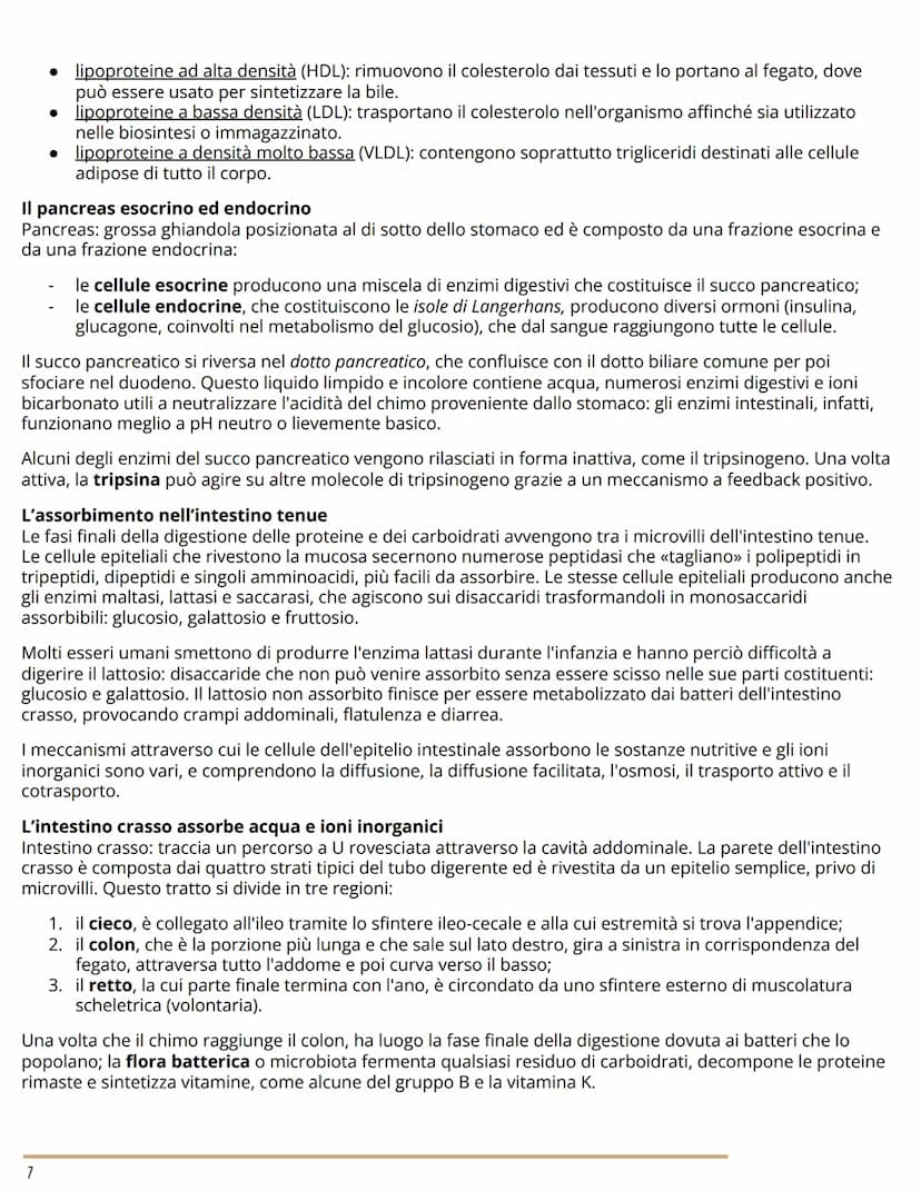 L'APPARATO DIGERENTE
BIOLOGIA
L'ORGANIZZAZIONE DELL'APPARATO DIGERENTE
Dal cibo ai nutrienti
L'apparato digerente (o gastrointestinale) forn