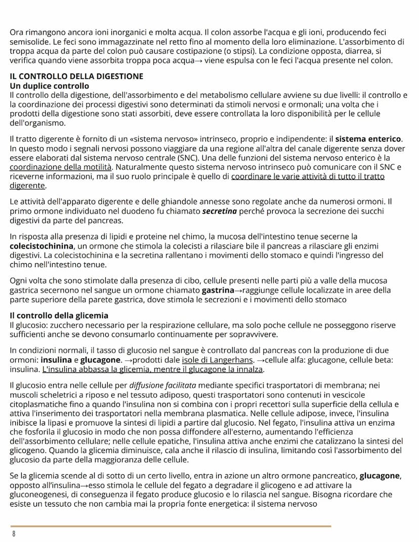 L'APPARATO DIGERENTE
BIOLOGIA
L'ORGANIZZAZIONE DELL'APPARATO DIGERENTE
Dal cibo ai nutrienti
L'apparato digerente (o gastrointestinale) forn