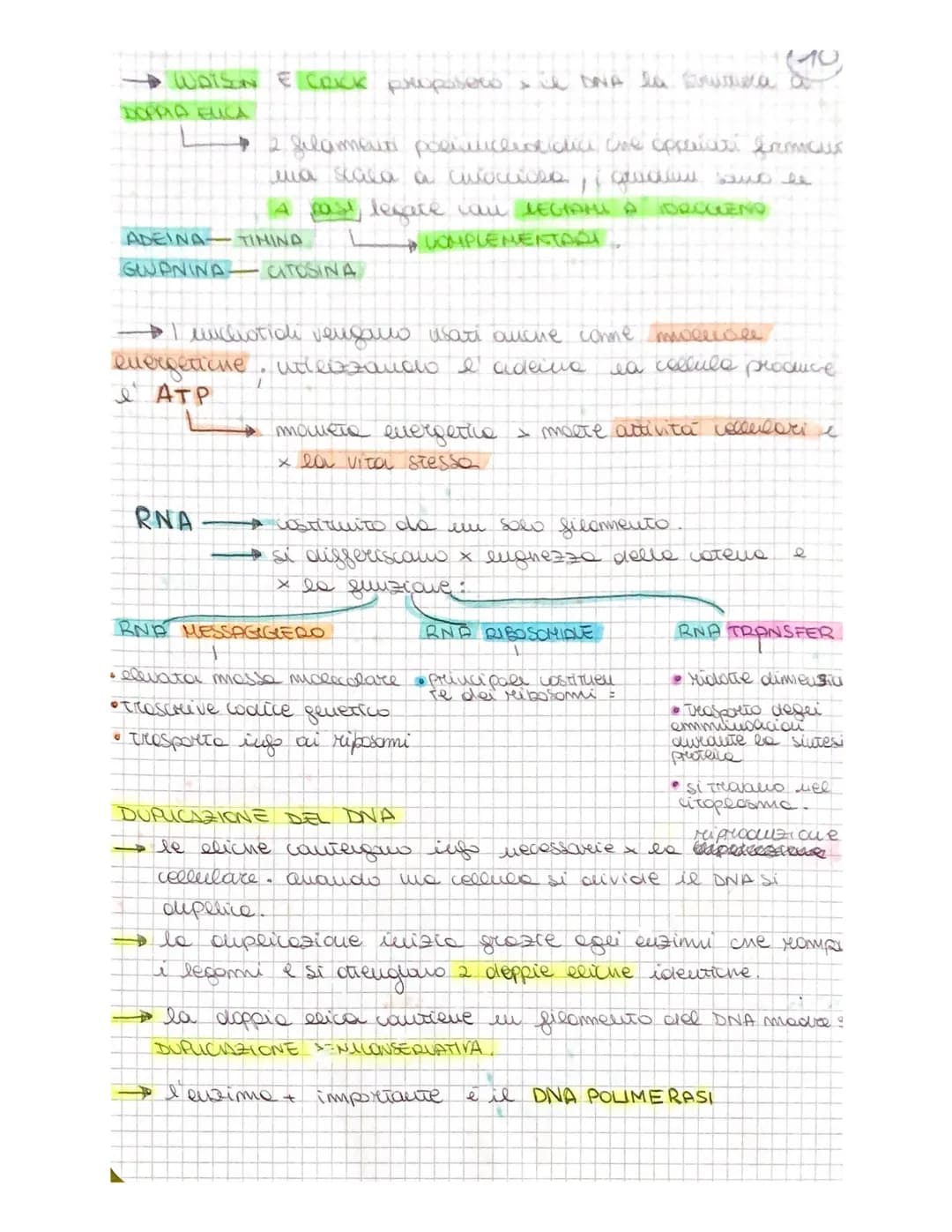 DNA e RNA: Spiegazioni Semplici e Mappe Concettuali per Ragazzi